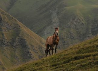 No avergonzarse de Jesús
