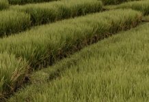 Impotentes, pero con oración