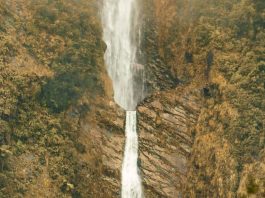 Hacer discípulos para Cristo