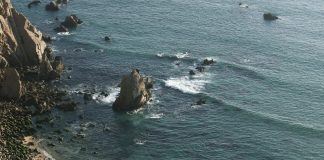 De megalodones y leviatanes