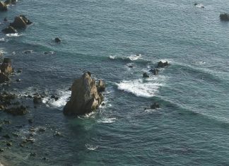 De megalodones y leviatanes