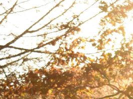 El cambio que trae Cristo