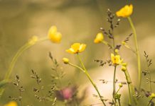 La dulzura de la Palabra de Dios