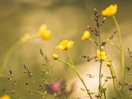 La dulzura de la Palabra de Dios