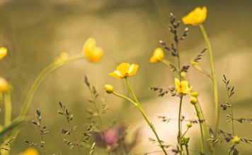 La dulzura de la Palabra de Dios