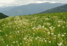 Una vida de integridad