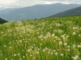 Una vida de integridad