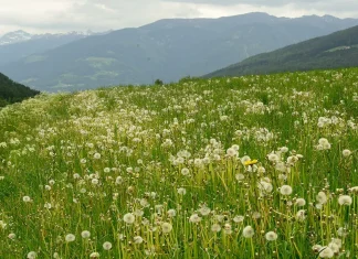Una vida de integridad