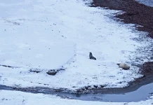 Fundamentos para la vida cristiana