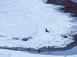 Fundamentos para la vida cristiana