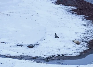 Fundamentos para la vida cristiana