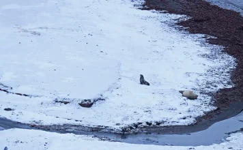 Fundamentos para la vida cristiana