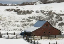 Cómo deshacerse de la ira