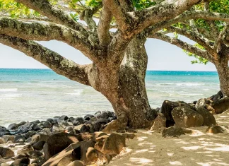 La rendición de cuentas es bíblica