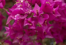 Los beneficios de la rendición de cuentas