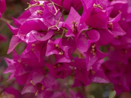 Los beneficios de la rendición de cuentas