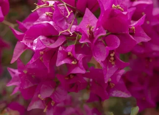 Los beneficios de la rendición de cuentas