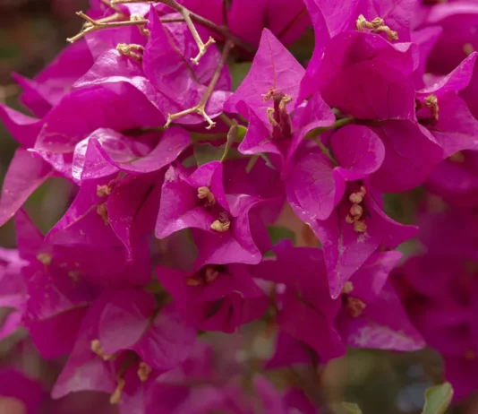 Los beneficios de la rendición de cuentas