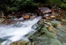 La verdad sobre la salvación