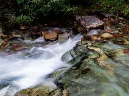 La verdad sobre la salvación