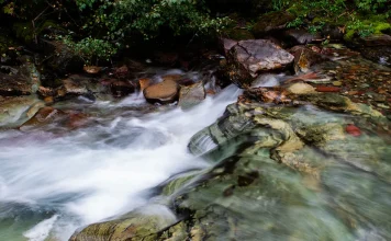 La verdad sobre la salvación