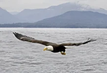 Las experiencias en el valle del creyente