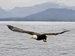 Las experiencias en el valle del creyente