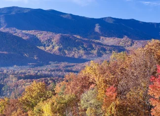 Moisés: Quien avanzó por fe