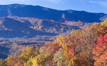 Moisés: Quien avanzó por fe