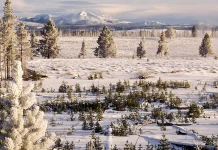 Dios responde a nuestras necesidades