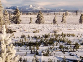 Dios responde a nuestras necesidades