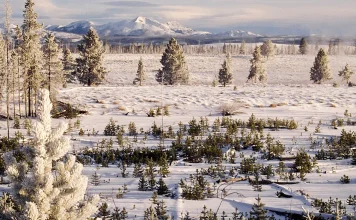 Dios responde a nuestras necesidades