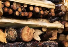 Elegir el mejor enfoque