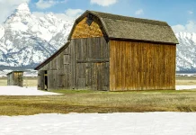 Los sencillos actos de obediencia