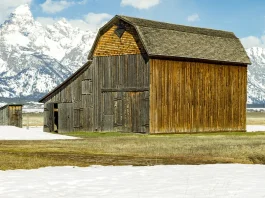 Los sencillos actos de obediencia