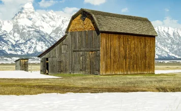 Los sencillos actos de obediencia