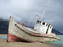 El valor de la obediencia