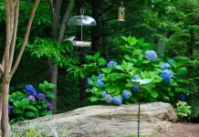 “Y vosotros, ¿quién decís que soy yo?”