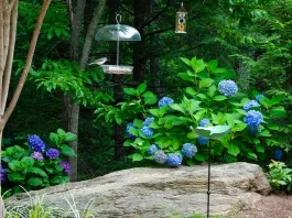 “Y vosotros, ¿quién decís que soy yo?”