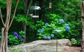 “Y vosotros, ¿quién decís que soy yo?”