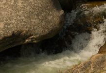 Belleza de la tragedia