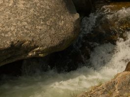 Belleza de la tragedia