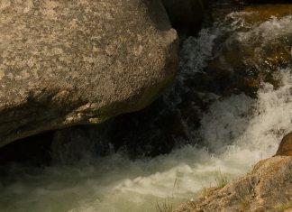 Belleza de la tragedia