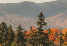 Dios nunca nos abandona