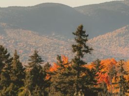 Dios nunca nos abandona