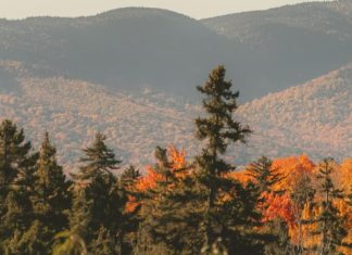 Dios nunca nos abandona