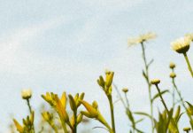 Empatía en el dolor