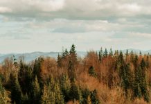 Hacer lugar para otros