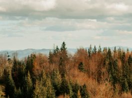 Hacer lugar para otros