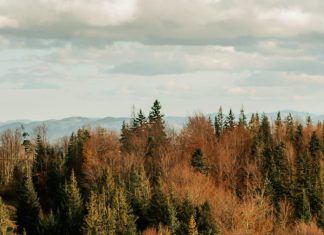 Hacer lugar para otros